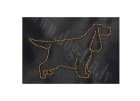 eng spaniel mini copy